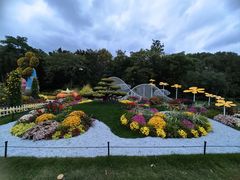 -上海共青森林公园