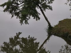 -广州市帽峰山景区