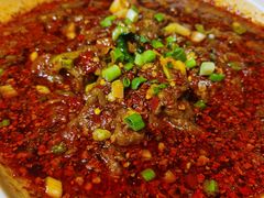 -柴窝堡22号辣子鸡·传承新疆菜