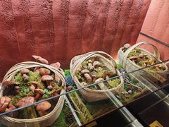 -滇野云南野生菌餐厅(陕西南路店)