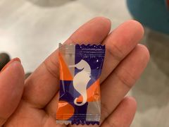 -海马体照相馆(天津世纪都会店)