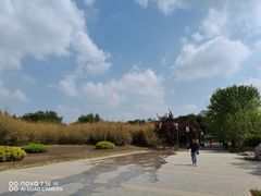 -大望京公园