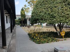 -张闻天故居