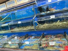 -张树军海鲜(王府壹号店)