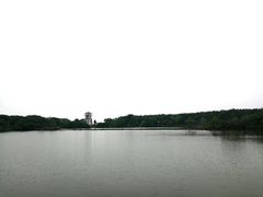 -大湾区中央湿地公园