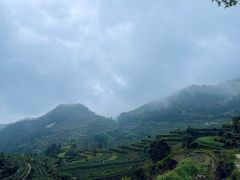 -杨家堂村