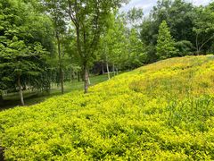 -黑龙江省森林植物园