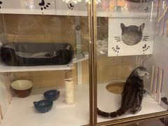 -老炮儿轰趴团建KTV桌游棋牌主题馆(五道口店（底商店))