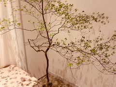 -boundaries籬苑(瑞光创意工厂-贰号院店)