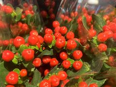 -豆豆花艺(新光天地店)
