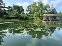 -国家植物园南园