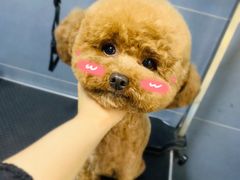 -太原东方动物医院(小店分院)