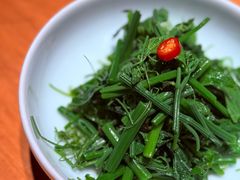 木姜子拌丝瓜尖-一坐一忘云南菜(北京skp店)