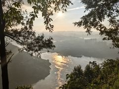 -铁山坪森林公园