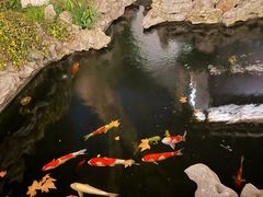-鲤院·新中式美学·庭院餐厅(夫子庙店)