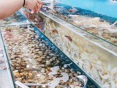 -港畔赶海蒸汽海鲜烧烤自助(仙螺岛店)