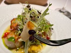 -蝶舍·MAISON PAPILLON