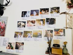 -平行世界·猫咖(首经贸店)