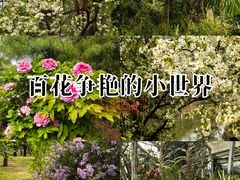 -国家植物园南园