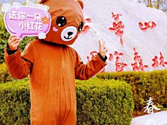 -少华山国家森林公园