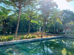 -采粤轩中餐厅(惠州金海湾喜来登度假酒店)