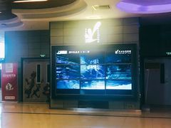 -新世纪电影城(阳光100店)