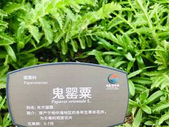 -国家植物园南园