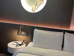 -成都宽窄巷子桔子水晶酒店