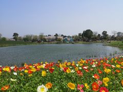 -径山花海