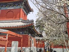 -北京艺术博物馆(万寿寺)
