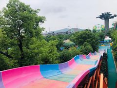 -苏州乐园森林水世界