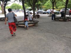 -上海中医药大学附属曙光医院(东部)