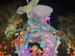 -淄博花灯齐彩城