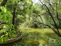 -人民公园(罗湖区)