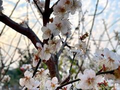 -广州市流溪河国家森林公园