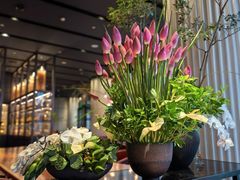 -新荣记(新源南路店)