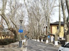 -T80科技文化国际社区-停车场