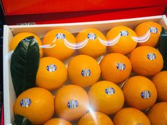 -鲜力达果品批发直销(青山店)
