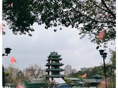 -桂湖森林公园