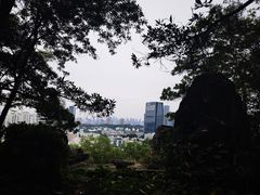 -深圳国际园林花卉博览园