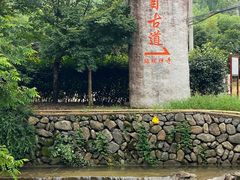 -东天目山风景区