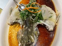 -陶缘一号·四季缘·老字号顺德菜·户外婚礼家宴(西滘店)