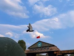 -沈阳森林动物园