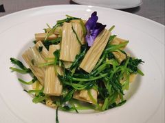 豌豆苗拌腐竹-北平食府·北京烤鸭(北京西站六里桥店)