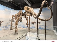 -辽宁古生物博物馆
