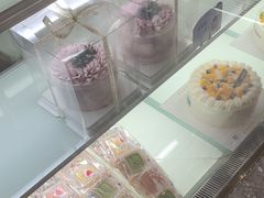 -天力卡拉优动物奶油生日蛋糕(鼓楼店)
