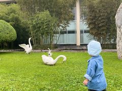 -西安国际创新人才交流中心•药浴温泉