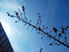 -无锡市市民中心