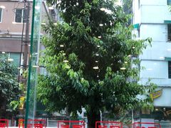 -六婶西关小厨(光塔路店)