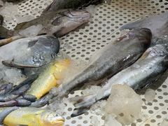 -老钱饭店(后渚港店)